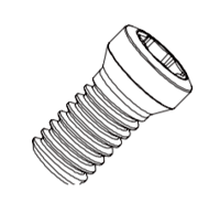 винт Винт PSCCM025046B